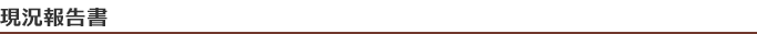 現況報告